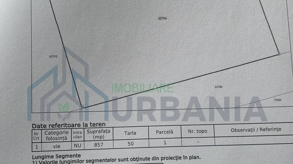 Teren intravilan de vanzare in Valea Lupului, Strada Rubinului - Poză 3