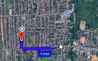 Teren intravilan 1000 mp, plat, între case, Lunca Cetățuii - Poză 3