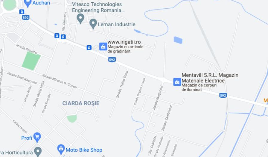 Teren calea Buziașului - Poză 3