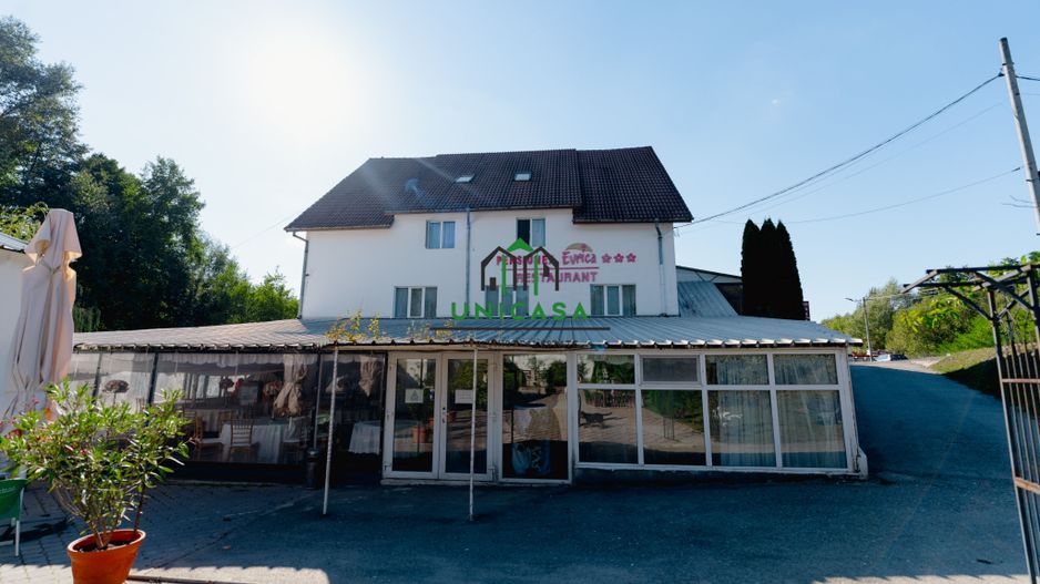 PENSIUNEA EVRICA - COSTESTI - HOREZU - VALCEA - Poză 54