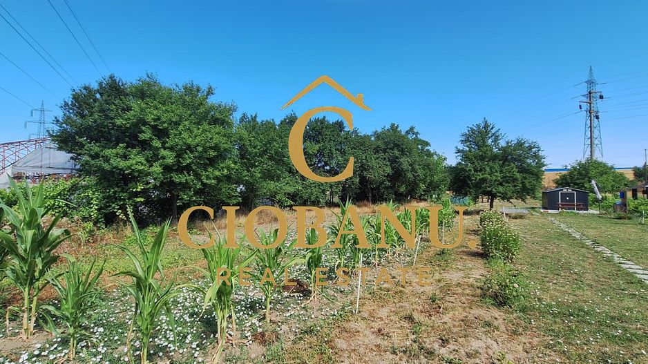 Teren intravilan de vanzare in Isalnita - Poză 10