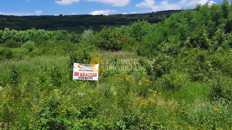 🌳 🌞🌿 TEREN INTRAVILAN OSOI 2800 mp - 49.999 Euro ! 🌳🌞🌿 - Poză 4