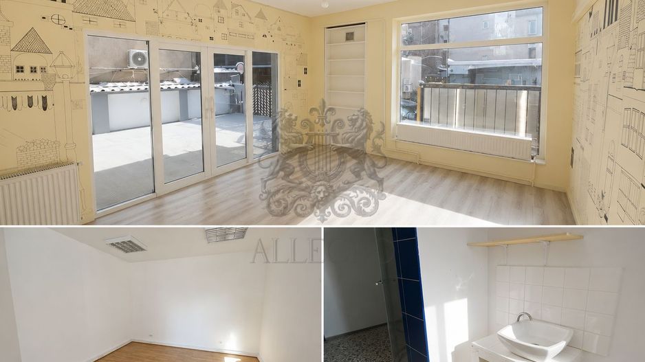 Piata Dorobanti | Vila Individuala | 2002 | 275 mp | 7 camere | Terasa - Poză 10