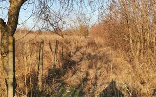 Teren 3900mp - Poză 3