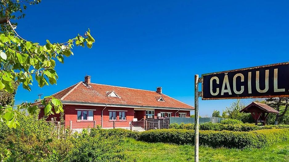 1000mp teren intravilan Caciulati - Poză 3