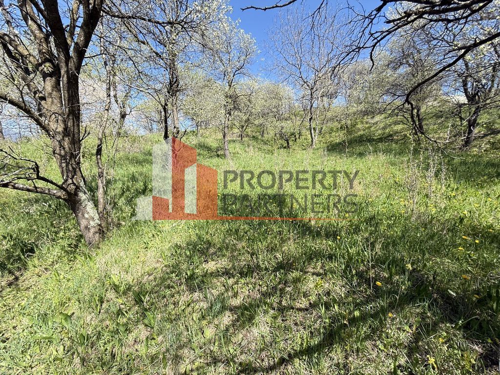 Teren 2500 mp Sohodol - Poză 9