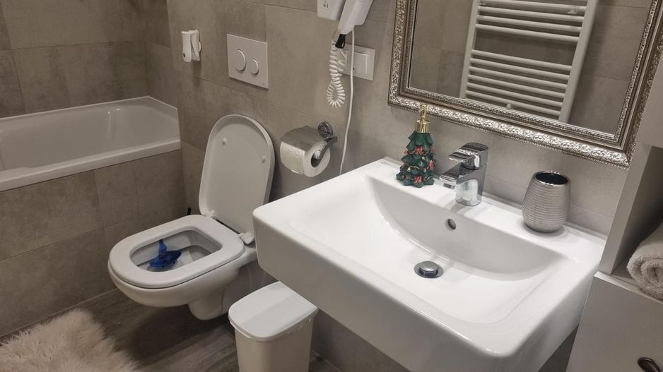Apartament 2 camere de închiriat Kasper Residence - Poză 7