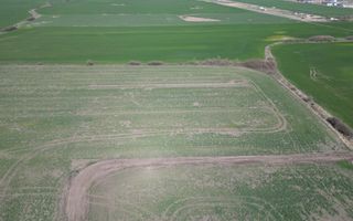 Teren industrial de vânzare Covaci | 14.000 mp | Viitoare centura Covaci - Poză 5