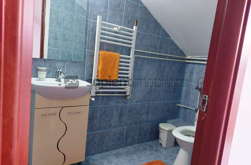 De vanzare casa si spatiu de restaurant in Tarian - Poză 15