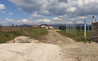 5.000 mp intravilan, parcelabil, Halchiu, Brasov - Poză 3