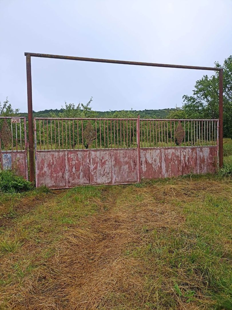 Tren si casa de vacanta in Panticeu - Poză 7