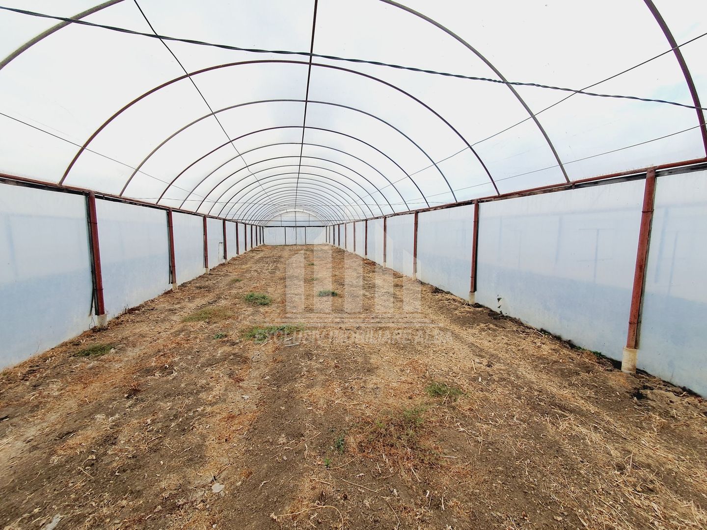 Ferma de vanzare in apropiere de Alba Iulia - Oportunitate de Investitie - Poză 10