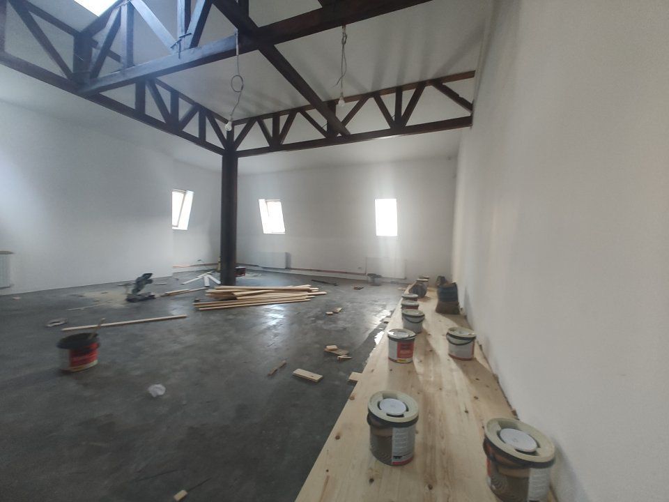 Vila Reprezentativa  8 camere Calea Mosilor - Poză 12