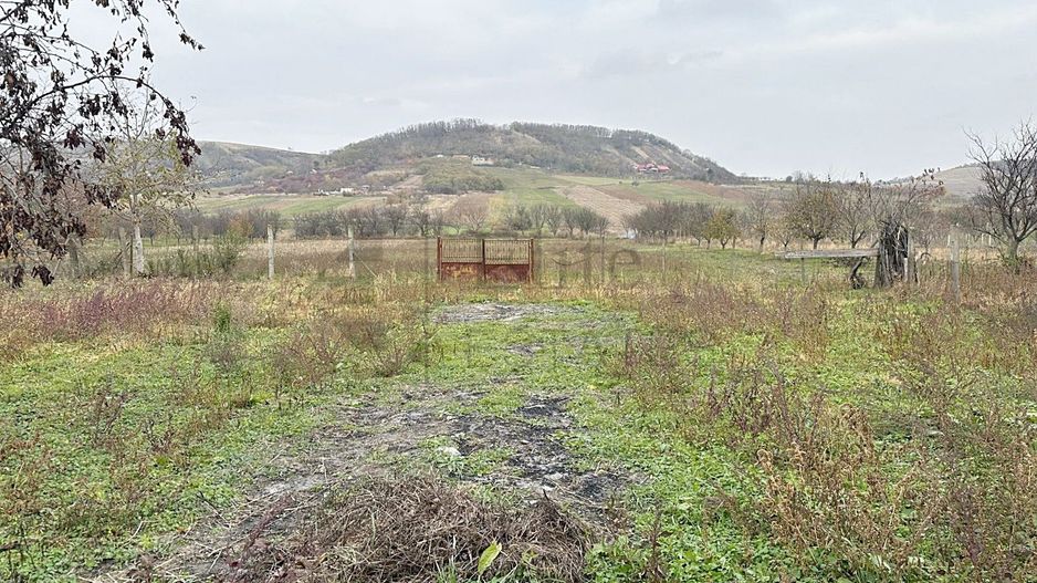 Casa cu 3 Hale si teren 8000 mp in Ulileacu de Cris, Bihor - Poză 12