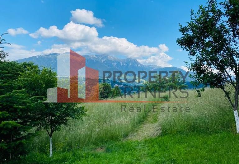 Vilă in Bran cu teren de 28.000 mp și priveliște spectaculoasa - Poză 26