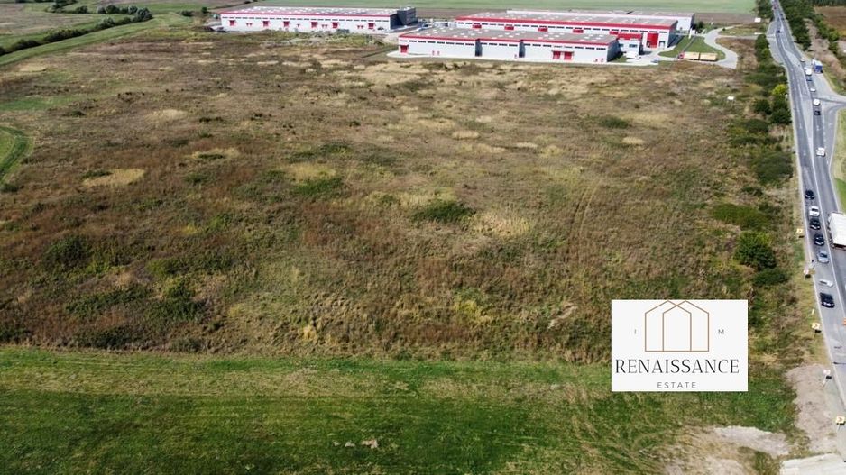 Teren PUZ Aprobat Pretabil Hale | 55.000mp - Park Industrial Sanandrei - Poză 5