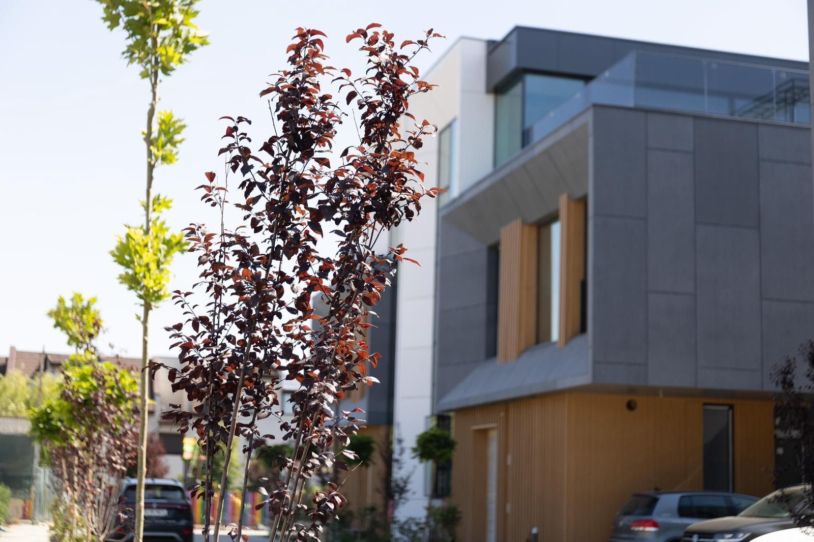 Vila de Lux | Proiect Nou | Pipera | Piscina Incalzita - Poză 23