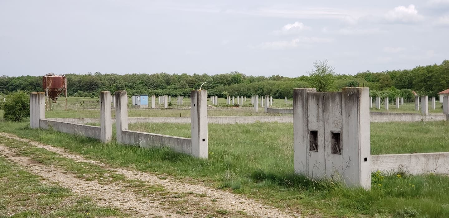 Teren intravilan de vanzare 32 parcele situate in comuna Gepiu, Bihor - Poză 11