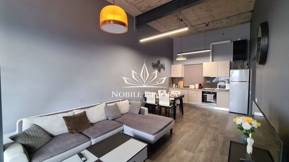 Apartament pet friendly cu 2 camere - acces gratuit in sala de fitness - Cetatii - Poză 5