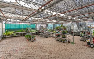 CASA BARTOLOMEU- sediu firma/ comercial/ servicii- zona circulata - Poză 9