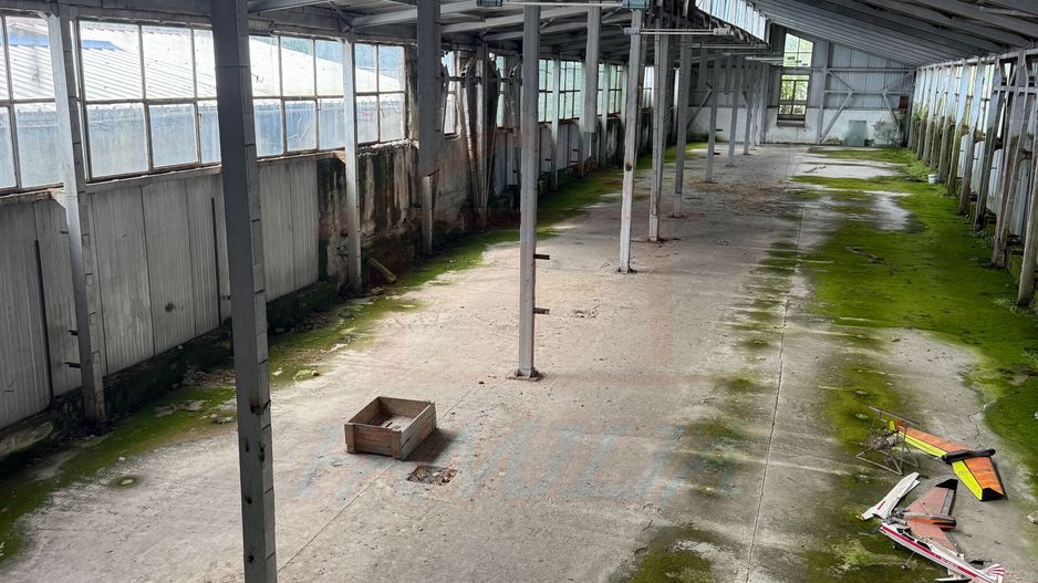 Hala In oras str Traian eligibil program "Tranzitie Justa" - Poză 5