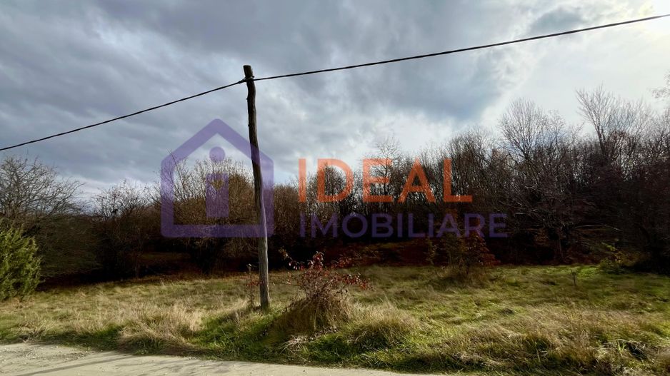 Teren extravilan 1030 mp, Cârțișoara - Poză 3