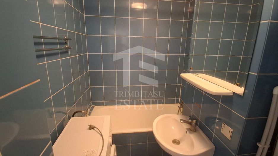 Teiul Doamnei- Apartament 2 camere decomandat | Etaj 10/10 - Poză 8