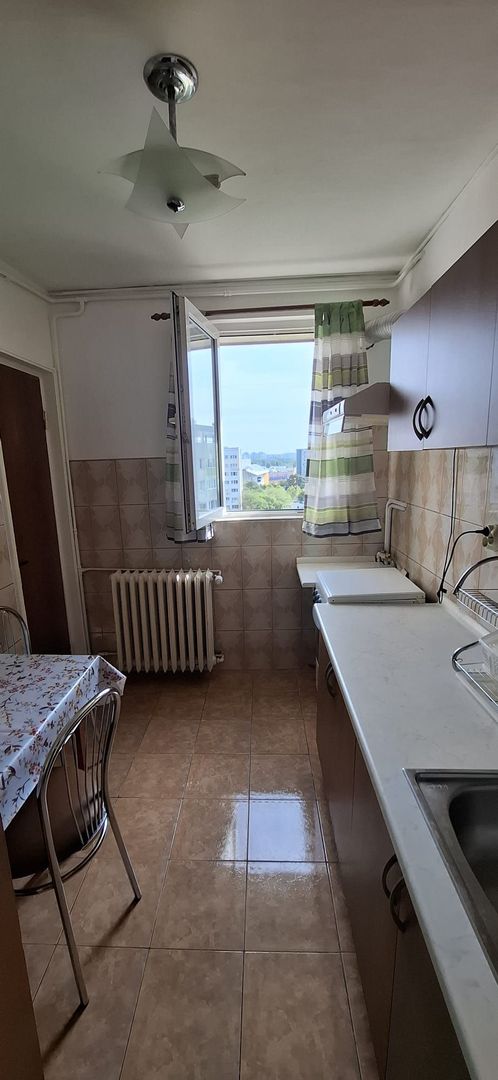 Apartament 2 camere Dristor / Park Lake / Stradal - Poză 10