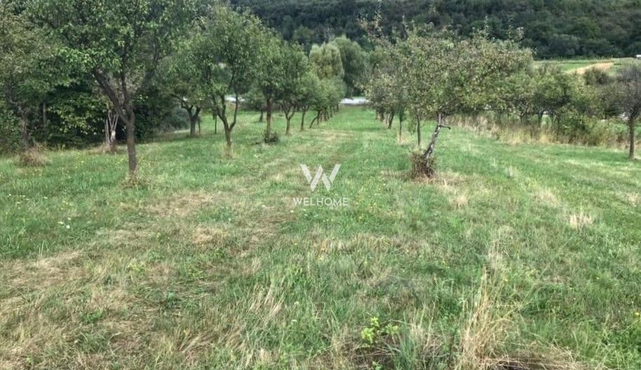 Teren extravilan - Sibiel, Sibiu - Poză 8