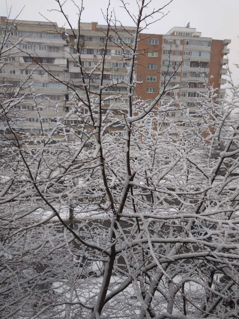 Apartament 3 camere, decomandat,  Mazepa 2 - Poză 3