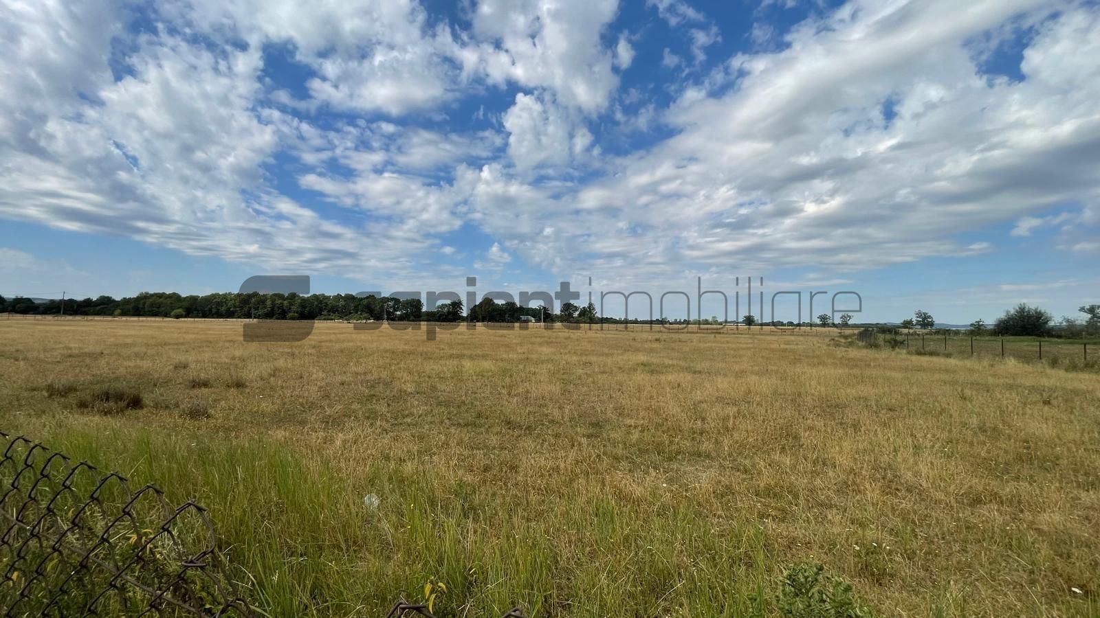 Teren Intravilan 1 ha – Acces Drum Asfalt | Ideal Rezidențial - Poză 2