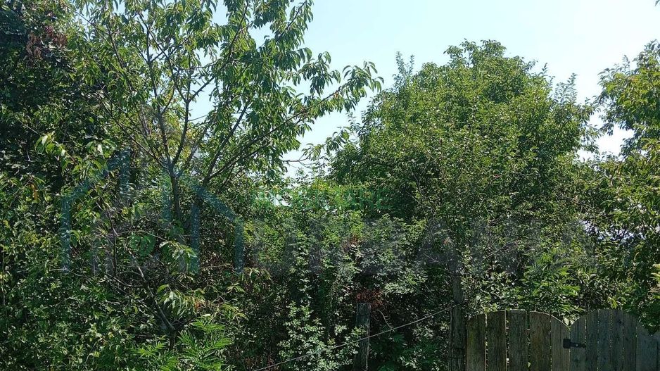 Casă de vânzare cu teren în comuna Schitu Duca, sat Dumitreștii Găleți, Iași - Poză 3