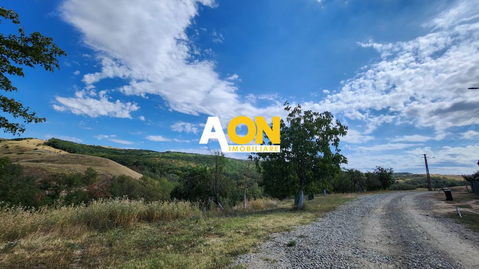 De vanzare teren intravilan 728mp, Oarda de Sus - Poză 4