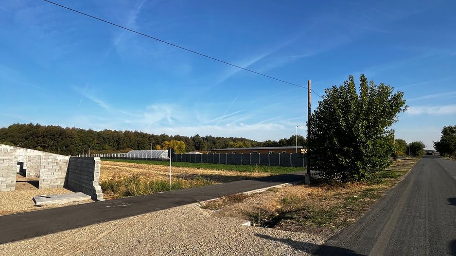 De vanzare 2 terenuri intravilane in Santau Mic – 1.000 mp fiecare - Poză 2