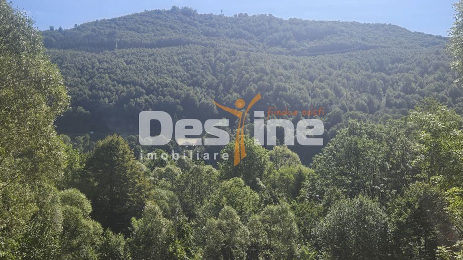 Teren Valea Doftanei,  zona Pe Vale - Baraj Paltinu - Poză 6