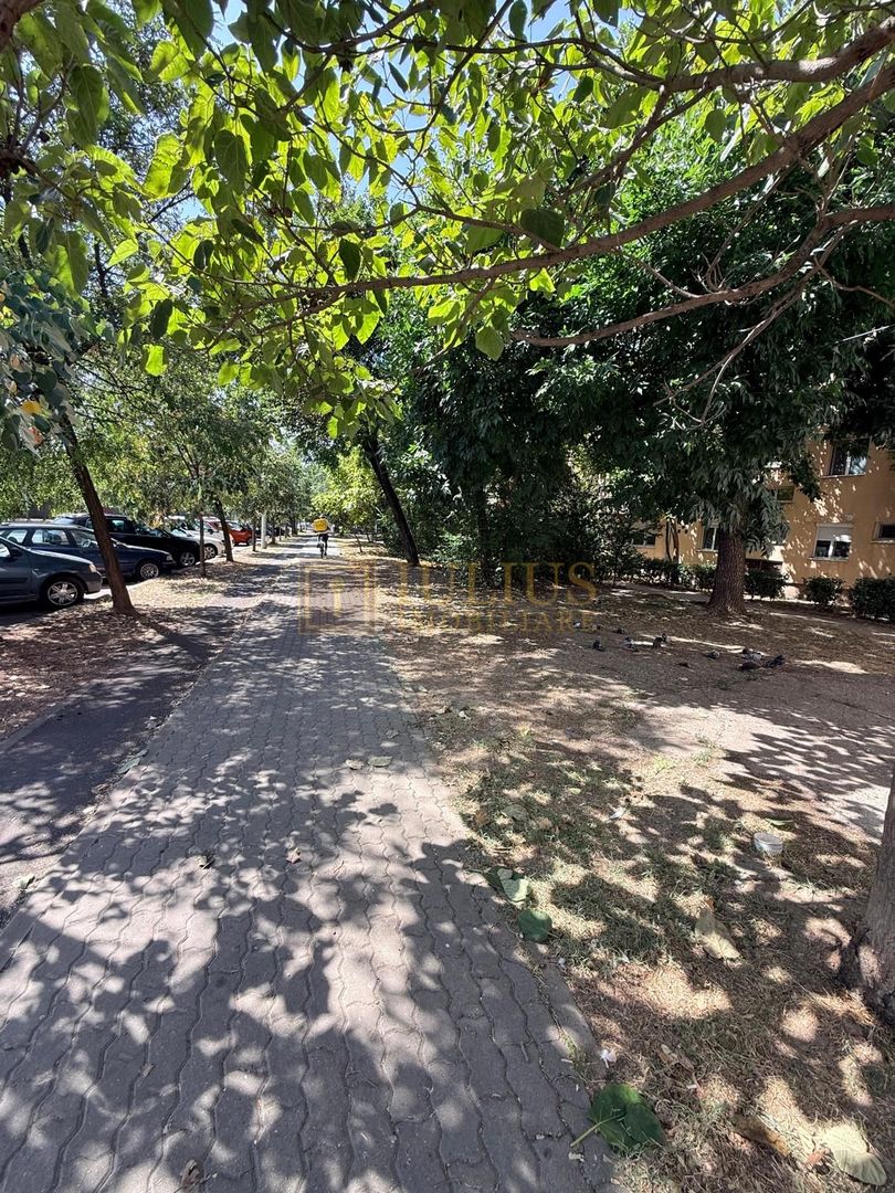 2 camere, zona Sala Olimpia - stadion Dan Paltinisan -Complex Studentesc - Poză 31