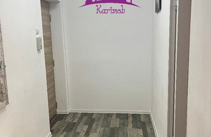 Apartament de inchiriat pe b-dul Dacia - Poză 7