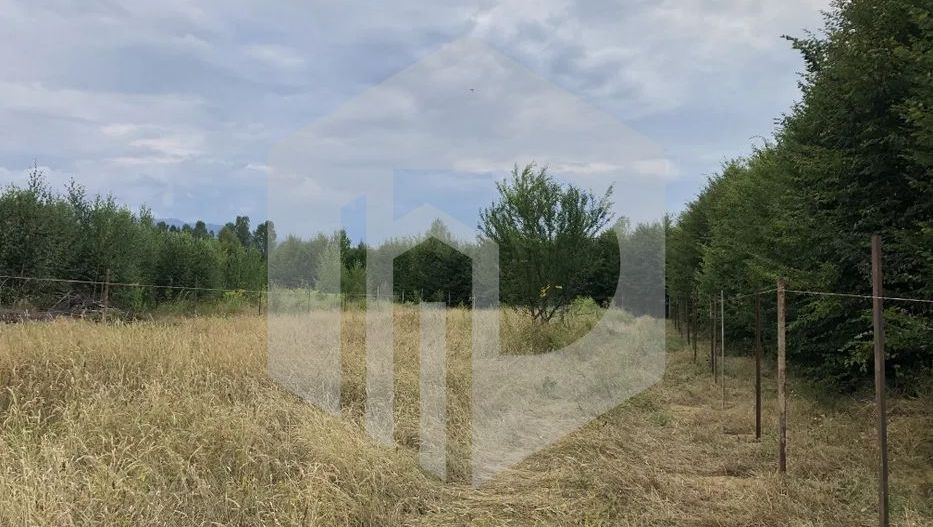 Teren | Intravilan | Valea Avrigului | Autorizatie | 2000mp | Fantana - Poză 5