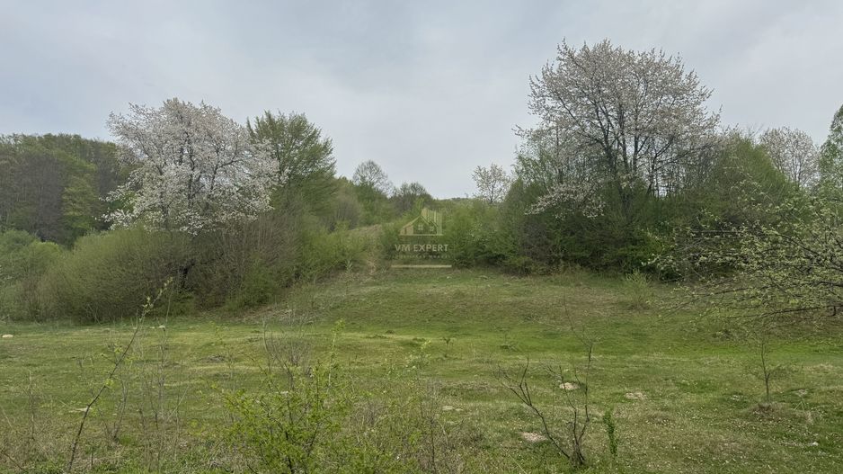 TEREN EXTRAVILAN 40000 MP, ALBESTI DE MUSCEL, CANDESTI - Poză 12