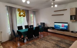 Zonă deosebită, oportunitate de investiție casă individuala in Gruia - Poză 1