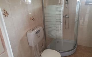 Vanzare vila Pitesti, Intrarea Nicolae Balcescu - Poză 10