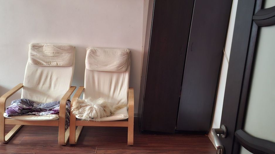 Vând garsonieră Timpuri Noi - Poză 2