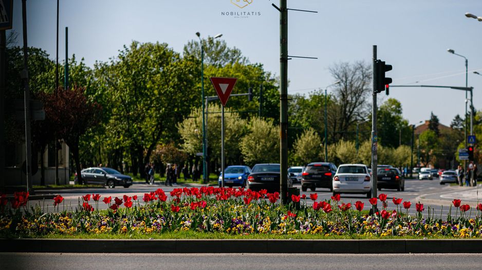 OFERTA VANDUTA - Apartament Ultracentral Palatul Ciobanu | Com 0% - Poză 7