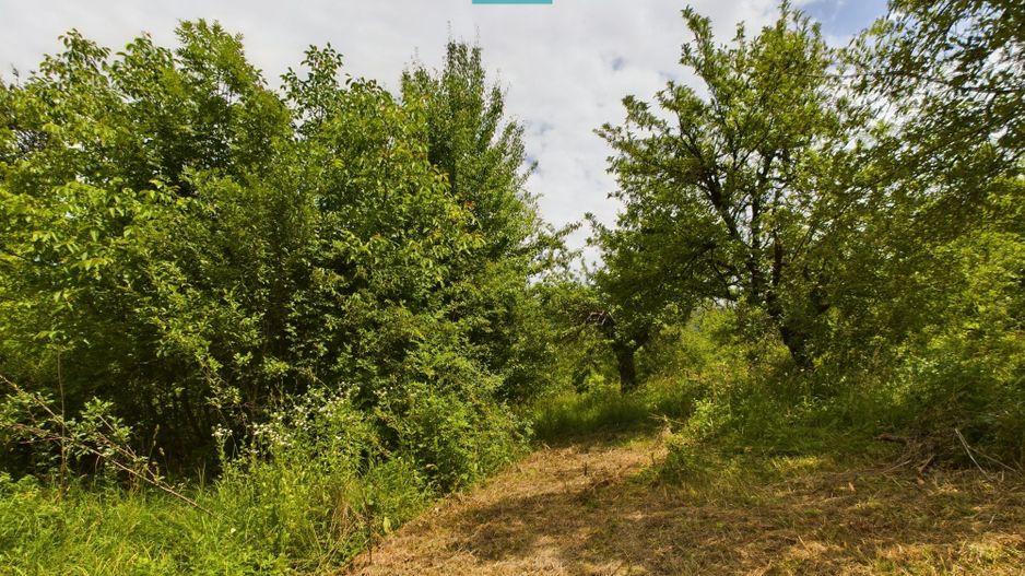 Loc de casă cu construcție în Dezna! - Poză 9