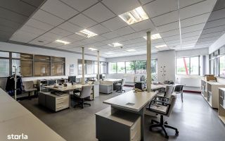 Hală la cheie pentru producție și depozitare Arad - Poză 6