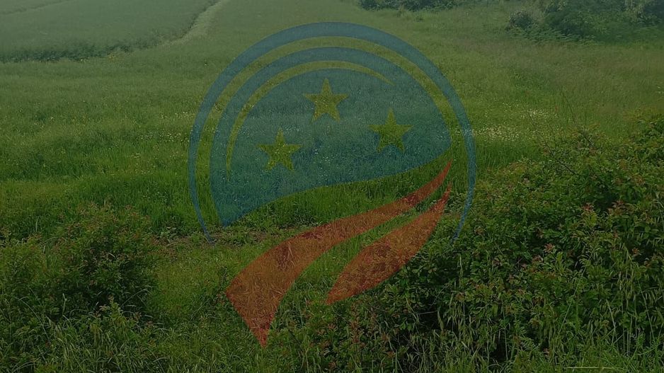 Teren 7140 mp de vanzare Murgasi - Oportunitate  investiție - Poză 3