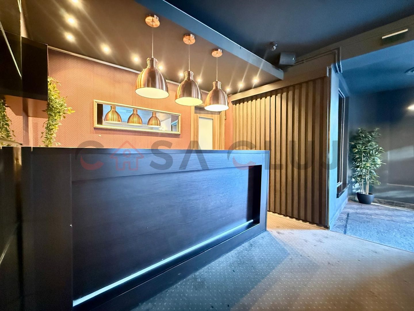 Spatiu comercial , central, Platinia - Poză 3