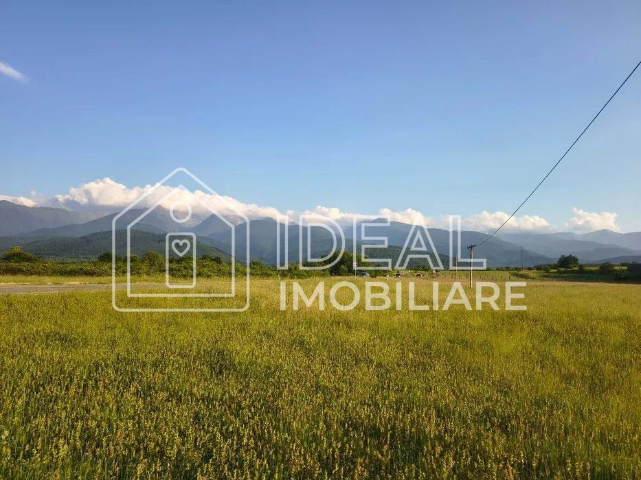 Teren extravilan de vânzare | Cârțișoara | 1800 mp - Poză 5