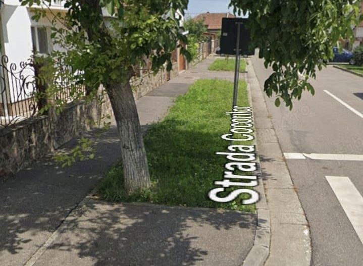 Casa, anexe din caramida plina 3-5 cam cart Viitorului zona linista - Poză 4