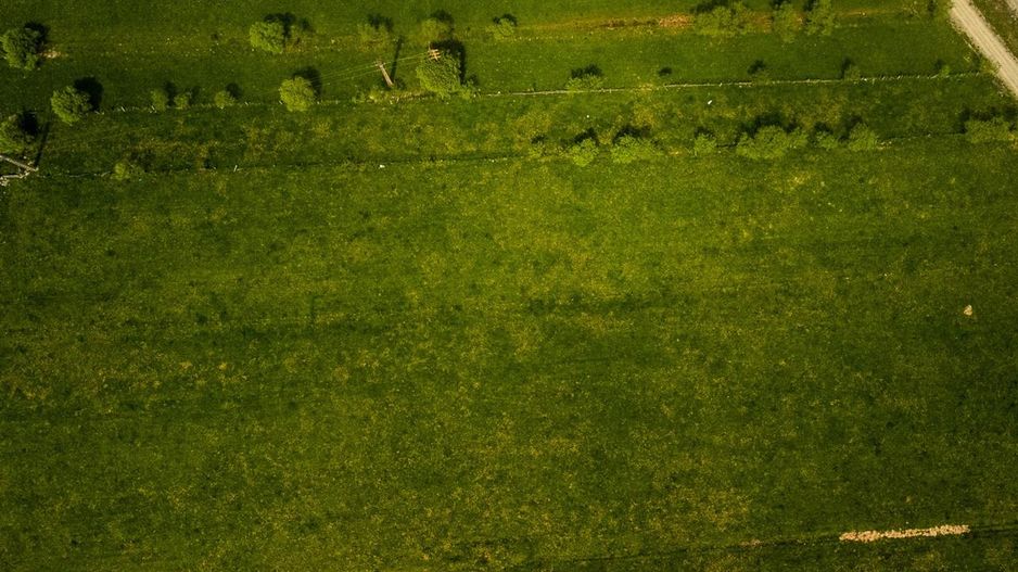 Teren intravilan, pe 2.623mp, zona de case, Rasnov, Brasov - Poză 5